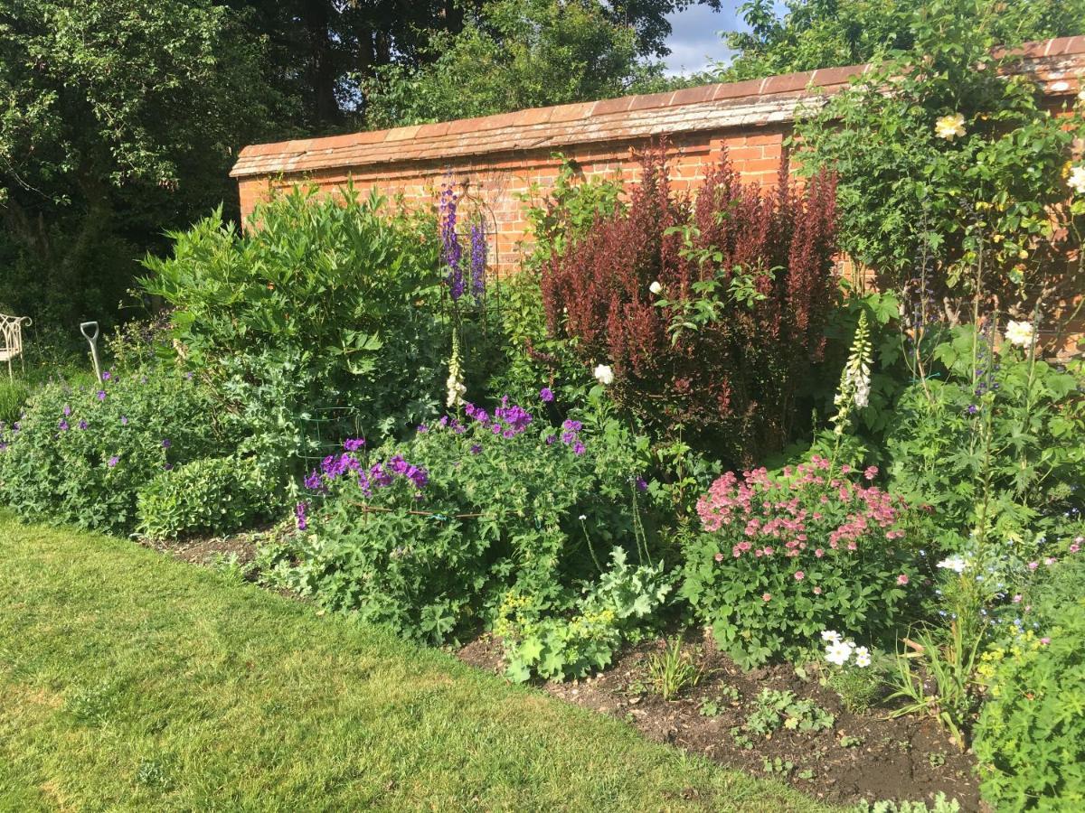 Garden Cottage B&B Penton Mewsey Exterior photo